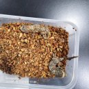 원주브리딩 이미지