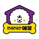 예몽 | 반려견공간 예몽 선택 전 먼저 볼 핵심 정보와 조건