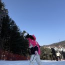 삼현동1길 | 최신시설 친절한 용평스키렌탈 ‘타타타렌탈샵’ 찐이용후기 ⛷️✨