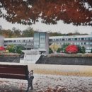 분당영덕여자고등학교 이미지