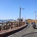 동해곰장어나라 이미지