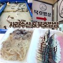 묵호항 맛집 추천｜산오징어와 고등어회가 만족스러웠던 사라수산 내돈내산 후기