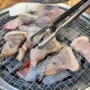 오늘도꿉자 네이버블로그
