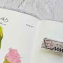 색연필로 쉽게 따라 그리는 꽃그림 이미지