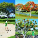 김정은 카카오 검색결과