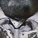 연세고든병원 이미지