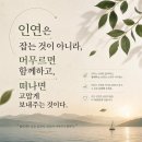 좋은사람. 테스형님.4분운동 참외껍질. 이미지