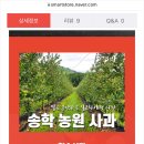 송학농원 이미지