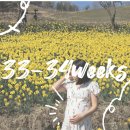 조산1길 | [임신일기]33주~34주차 헤일로즈 산전마사지, 산후도우미 정부지원신청_전북대학교병원