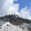 독립-16-04 이미지