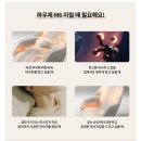 파우제 이미지