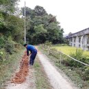 민원농장 이미지