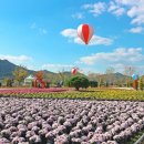 황산캐딜락 | 블챌 주간일기 10월 4주차 : 가을꽃🌼, 빡세게 운동!