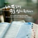풀과잎사귀