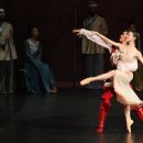 호동태권도 이미지