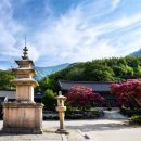 동부산악권 투어 2 네이버블로그