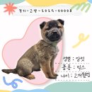 동그리 이미지
