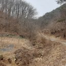 공인중개사남한강사무소 이미지