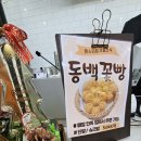 동백카페 네이버블로그