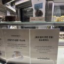푸딩그루 이미지