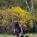 다현뷔페 이미지