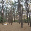 계양산 계양공원 이미지