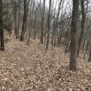 도곡2리 마을회관 이미지