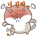 동경축산