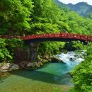 [남부] 웰빙요가 A(2025) 이미지