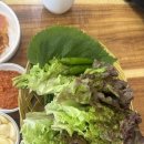 촌마루가든 이미지