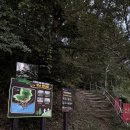 맘스터치 벌교점 이미지