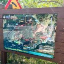 청천호 둘레길 주차장 이미지