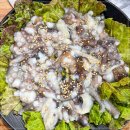 낙지청춘 이미지