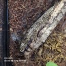 크레산도 - 수성구 알파시티2로3길 48-11 | 크레산도