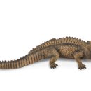 사르코수쿠스 이미지