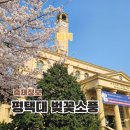 평택대학교 | 평택대학교 벚꽃축제 소풍 명소 2026 개화상황