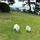 서산태안축산업협동조합 하나로마트 | 우리 가족 태안 미리 여름방학 . . 🌊 🏖️ 🌞