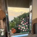 들꽃연가 | 촌캉스 전남 고창 들꽃연가 - 애견동반 펜션