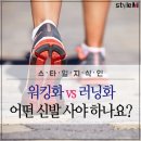 운동의 계절 이미지