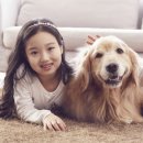 우리강아지 이미지
