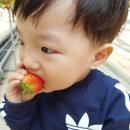 도윤농장 이미지