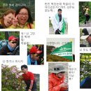 태백산족발