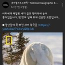 내셔널지오그래픽 - 보령시 중앙시장1길 35 | 내셔널지오그래픽