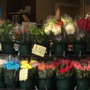 이화호텔 이미지