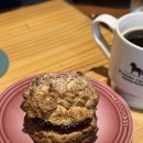 하소로 | 내돈내산 한경면 고양이 있는 카페 하소로 커피 주차정보 후기