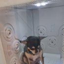 스테이숨 이미지