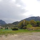 합천호한우구이 이미지