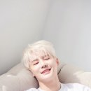 KWAVE 카카오 검색결과