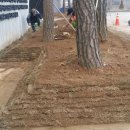 조경만 농장 이미지