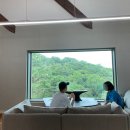 브런치앤숲 이미지